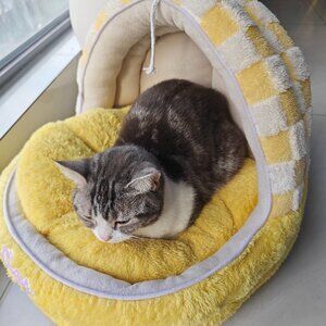 Plush Yellow Cat Bed for Small Cats
